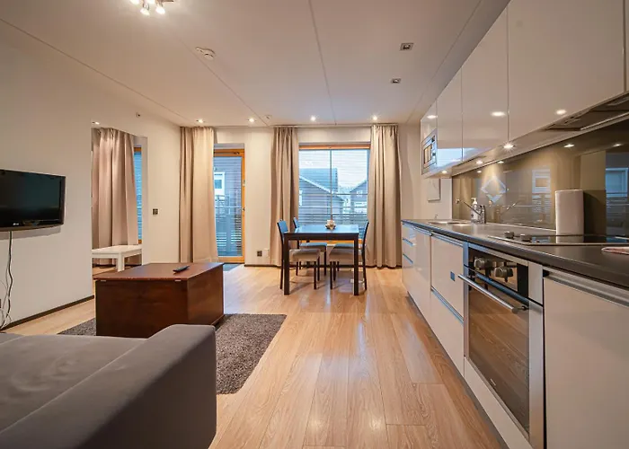 公寓 Centre Levi *