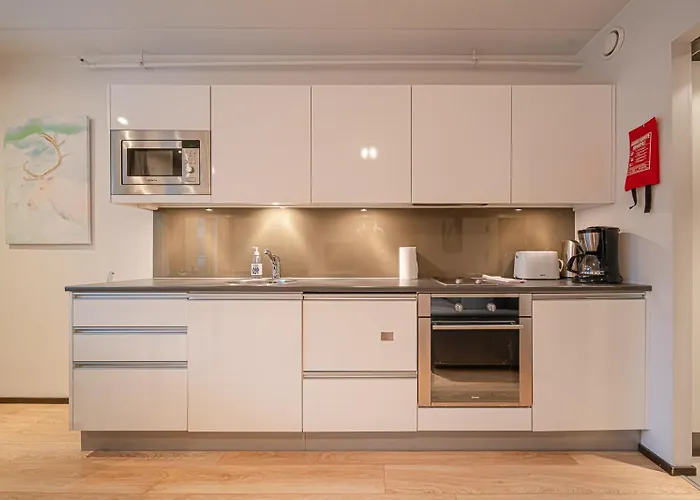 Centre Levi 公寓 *