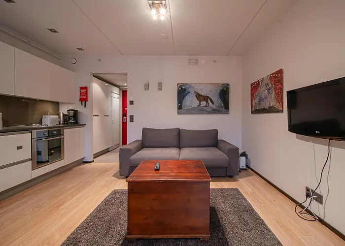 Centre Levi 锡尔卡